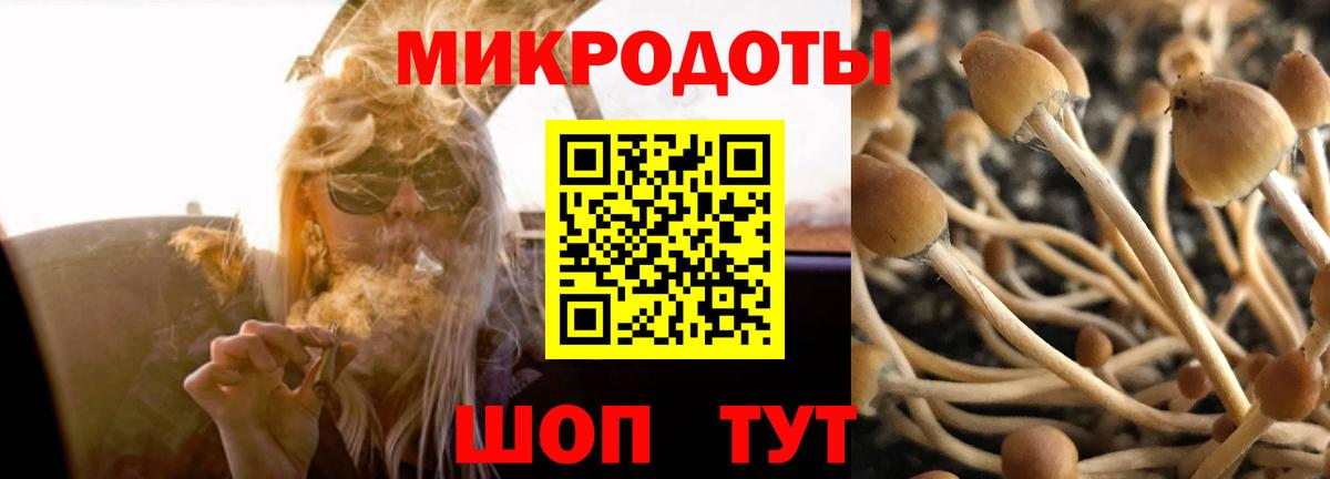 Городец  Галлюциногенные грибы Psilocybe  Псилоцибиновые грибы мицелий  Вход с VPN 